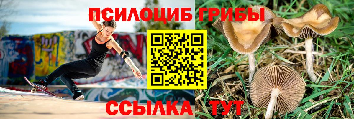 Мефедрон   MDMA  Гусиноозёрск  Вход с VPN  COCAIN  ГАШИШ  ГАШИШ  Каннабис 